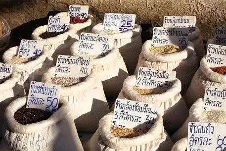 二十国峰会后续，用粮食做武器的博弈！