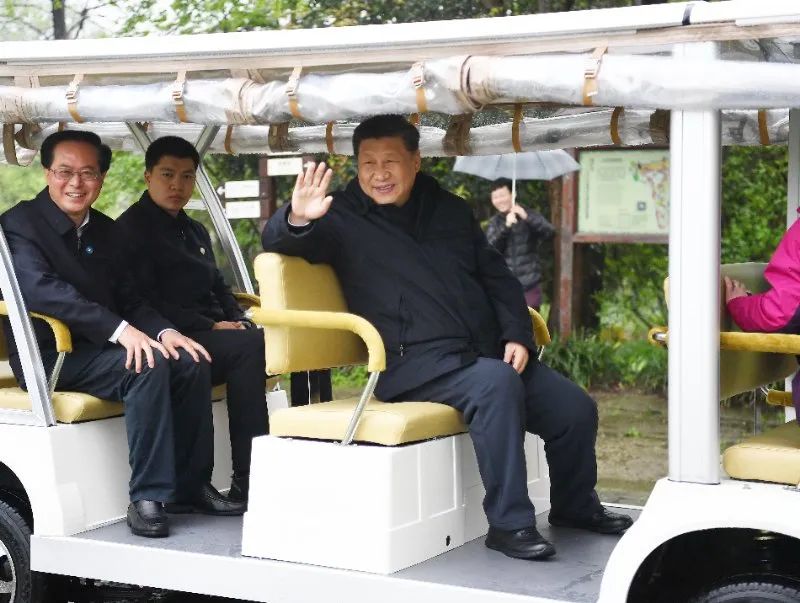 浙江考察看生态，深意不止在山水！