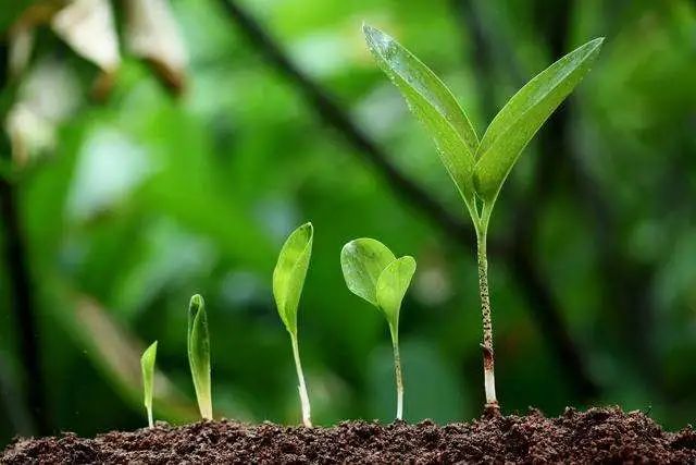 有一种聪明，叫做“冷处理”！