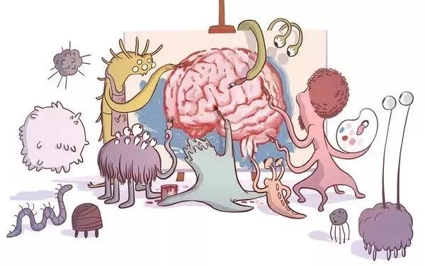 肠道是人的“第二大脑”，发起脾气来影响50多种疾病......