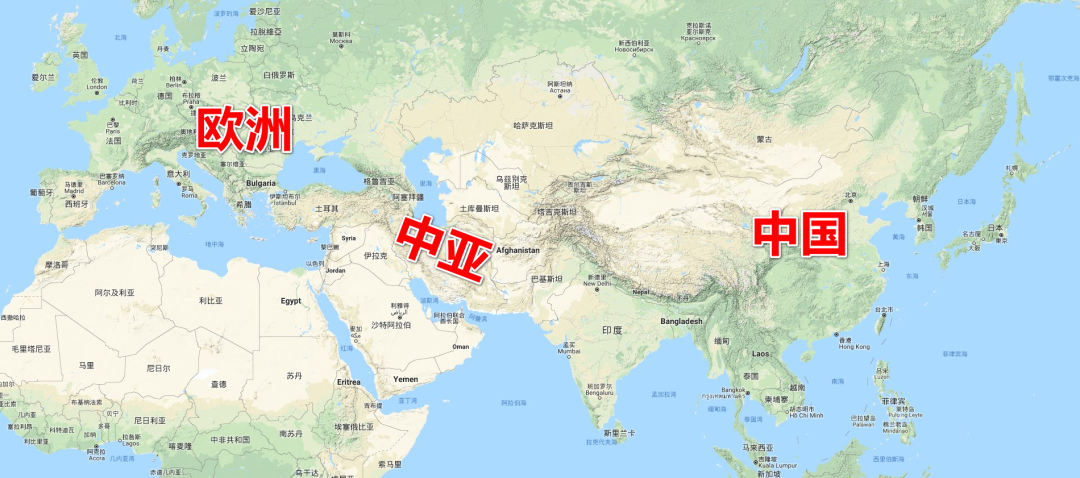 疫情寒冬，新的势力正在茁壮成长！