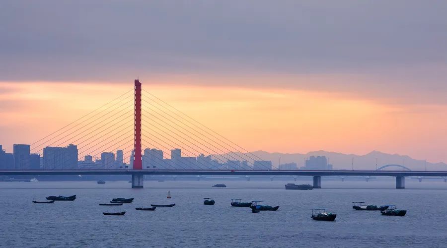 最新信号！新闻联播“浙江之行”，深思国家战略背后的玄机！