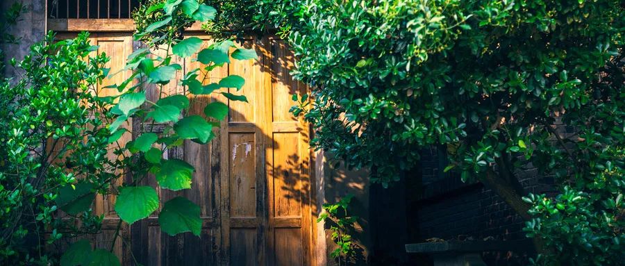 曹操最著名的三首诗文，说透了为人处世之道！