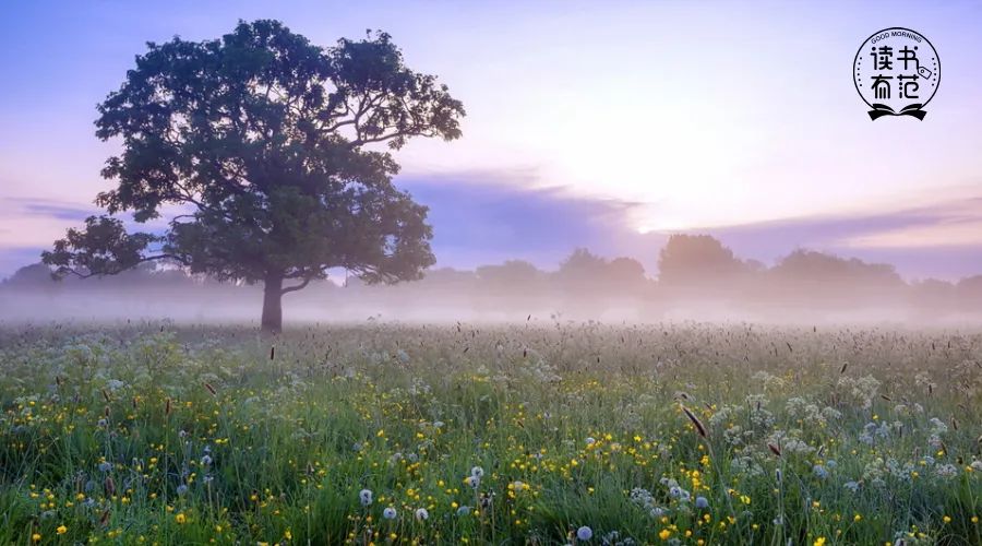 间歇性自律持续性懒散，我们到底做错了什么？