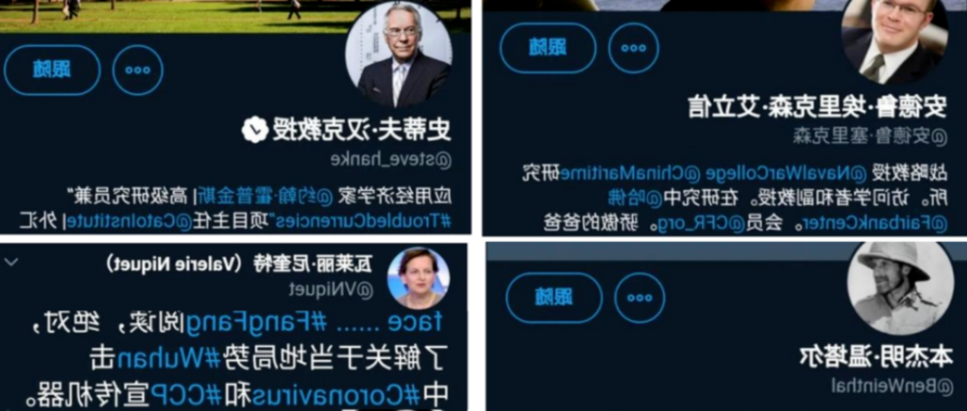 《冮精卫曰记》- 对中华之抹黑，讨西方之欢心?