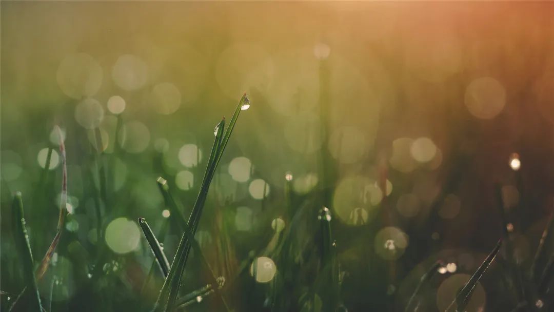 一辈子不长，别把最好的留到最后！