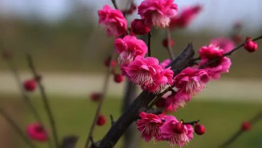 一半烟火以谋生，一半诗意以谋爱！