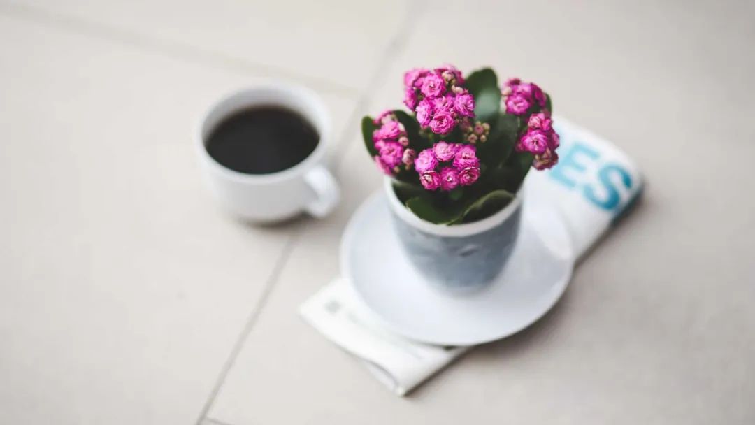 柔的力量（深刻）！