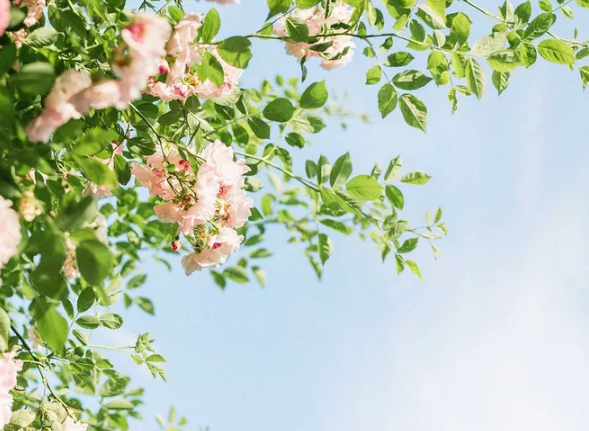 40个小细节，让你成为更靠谱的人！