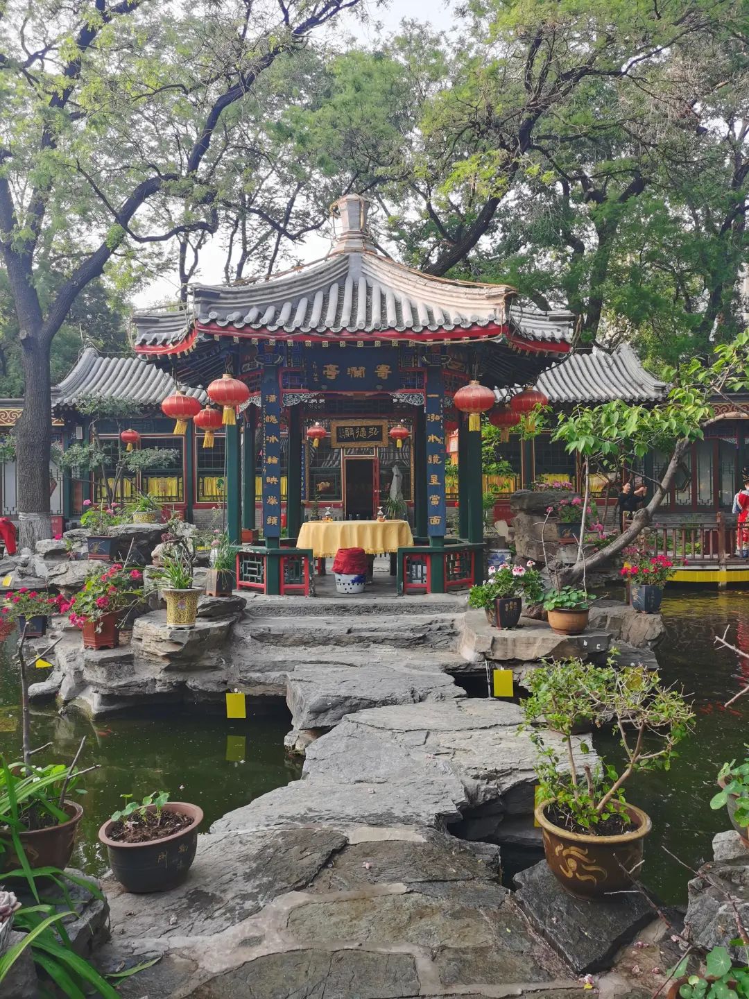 在这里，我们一起读懂复杂的中国！