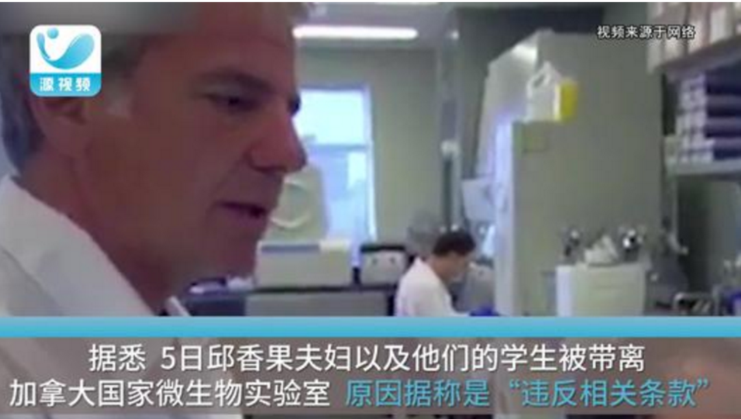 真相：华裔新冠病毒学者被枪杀，美市长去年11月感染新冠病毒...