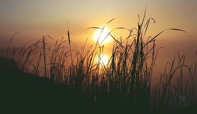 四十惑什么？五十知什么？六十顺什么？