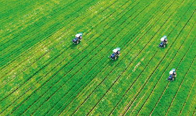 全球2.65亿人面临粮食危机，中国的口粮够吃吗？中央农办专家回答了5个关键问题！