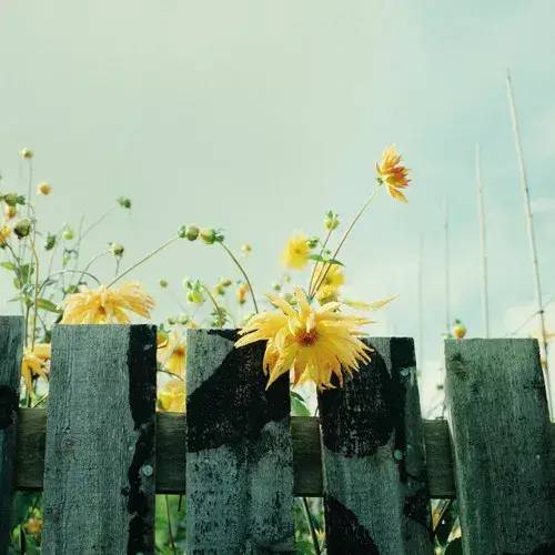 此文无价，很短很深！（火了）