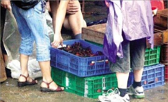 可怕！连锁宠物医院有可能成为下一个华南海鲜市场吗？