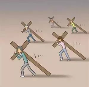 原来，这就是“大树定律”！