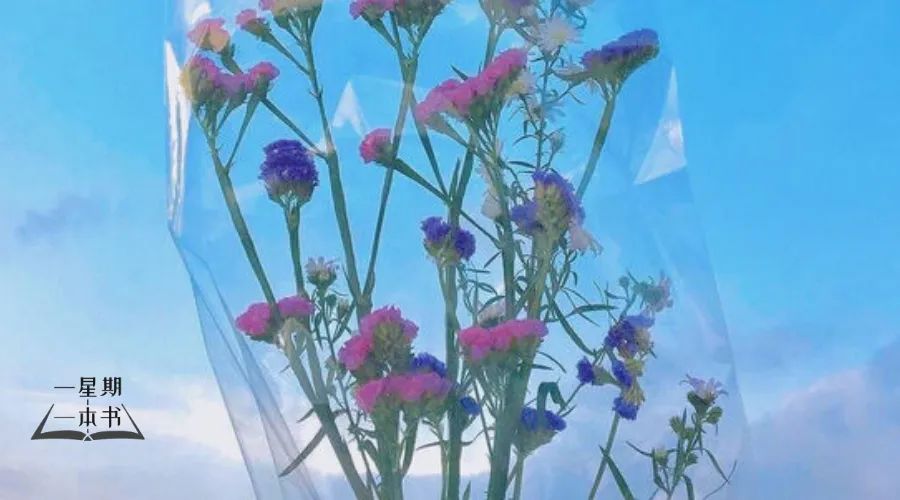 人这一生，总有人渡你！