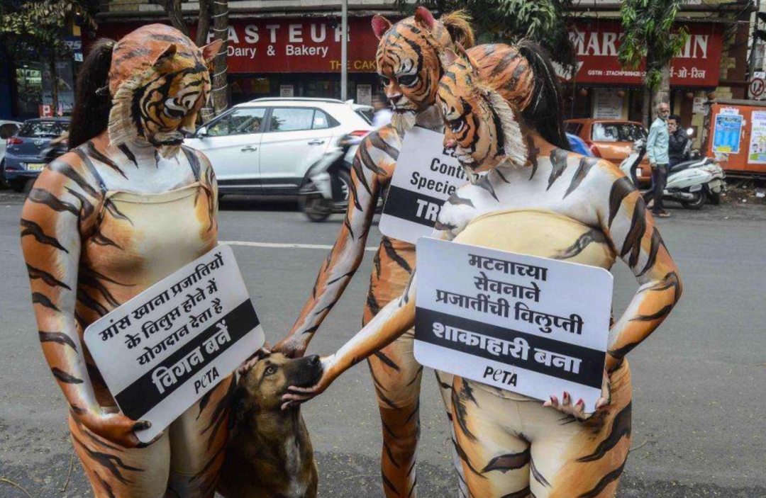 “政治正确”的背后......