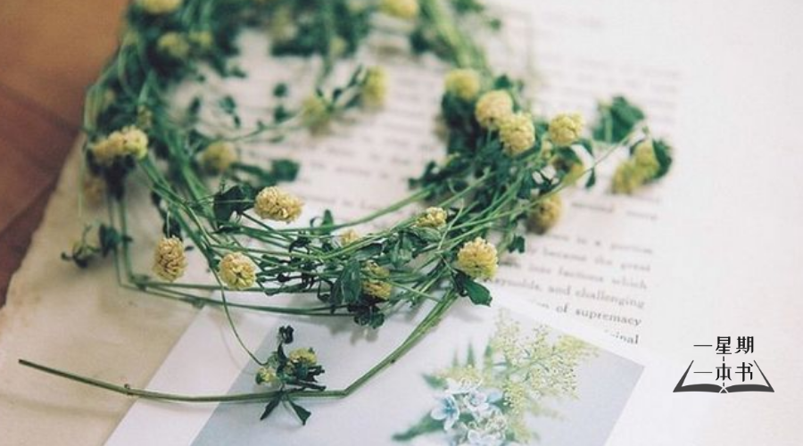 有一种家风，叫遇事不责备！