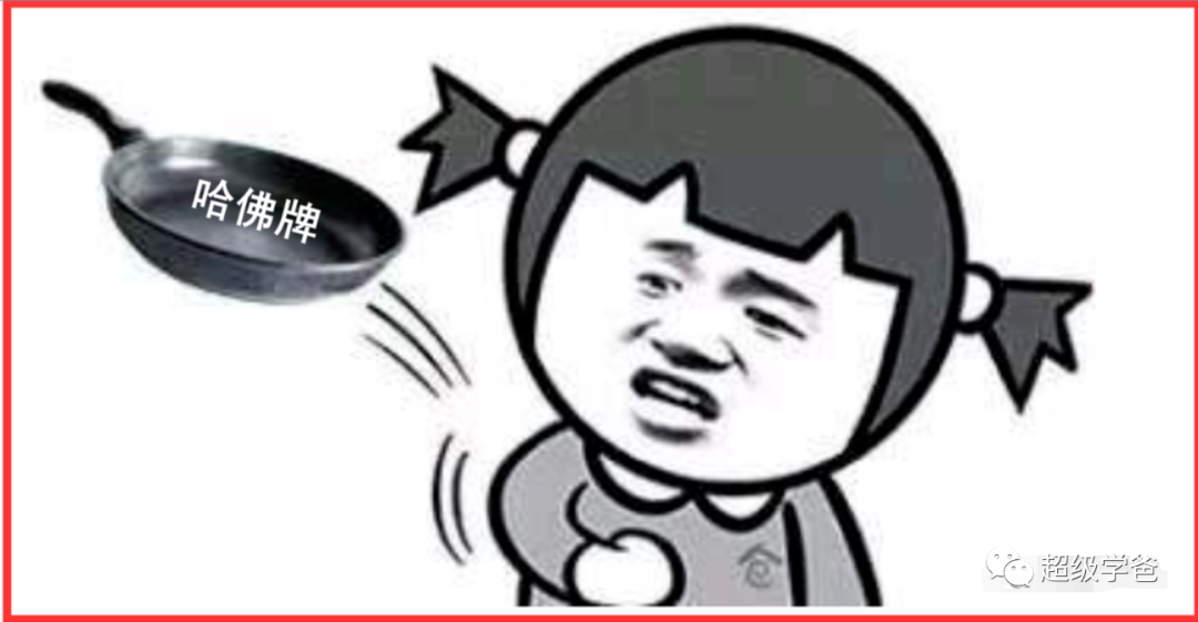 哈佛牌大黑锅，为你量身定做——