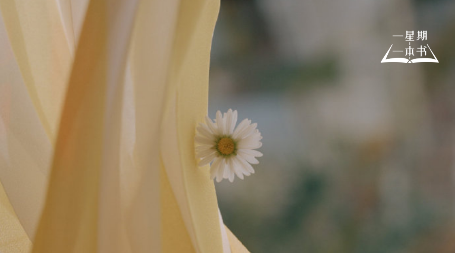 世上最愚蠢的行为，就是讲道理（深度好文）