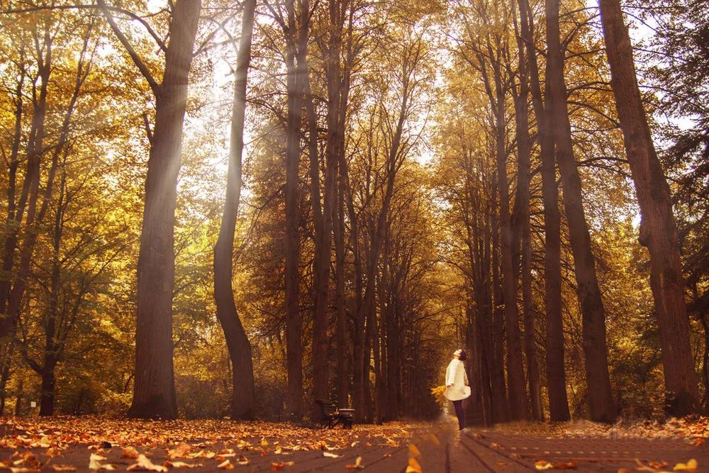 沉得住气，是一个人最了不起的才华！