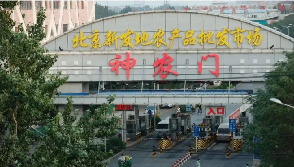 划重点：疾控首席专家为何强调要分析美国毒株？
