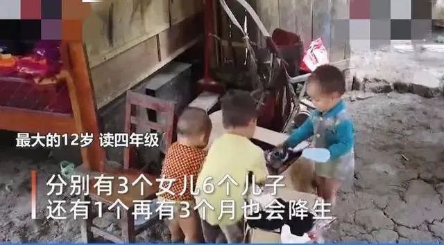 穷人，就该多生娃！