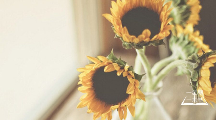 请逼自己优秀，然后骄傲地生活！