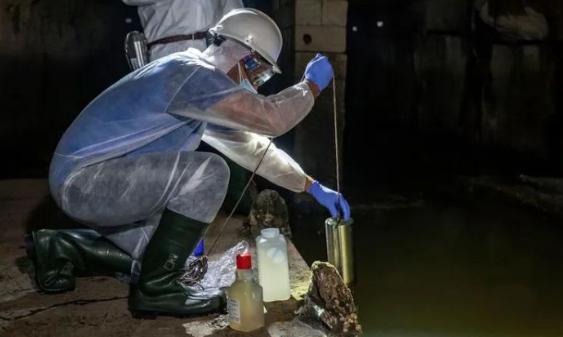 全球疫情进程变数再现，中国须主动出击！