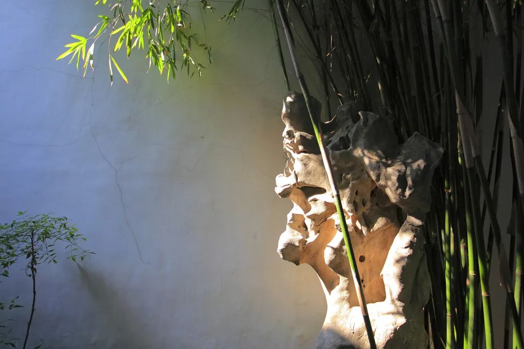 小暑，养心避暑！