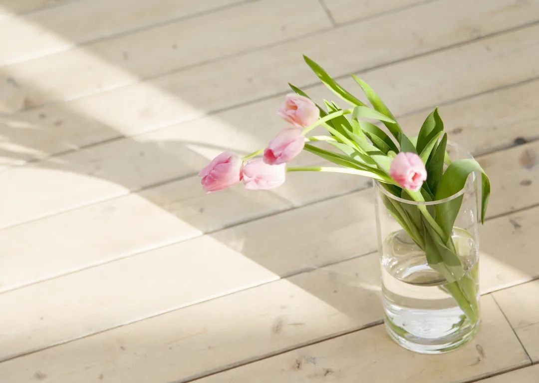 “苟晶高考案”大结局：人品不好，再聪明也没有用！