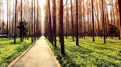 常说这句话的人，福报越耗越少（你是否也在说？）