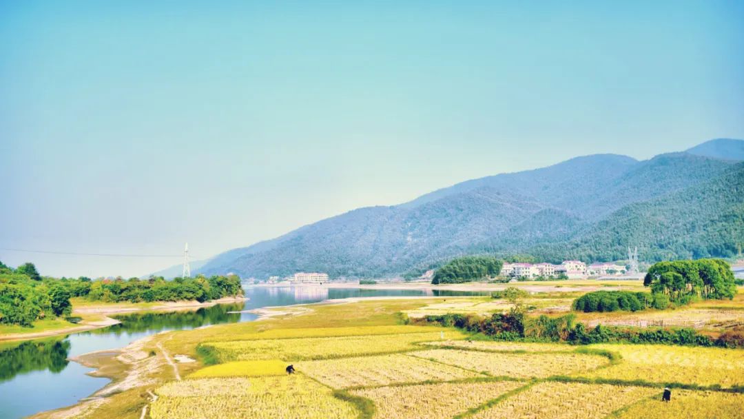 微小说：《窝囊的父亲》看哭了无数人！