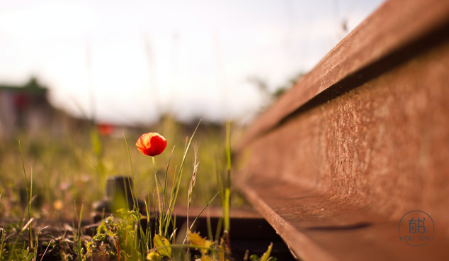 有一种修养，叫知人不评人，知事不声张！