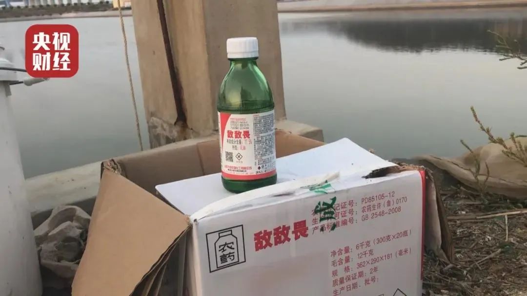 丧心病狂，用敌敌畏养殖的海参正在流入餐桌！