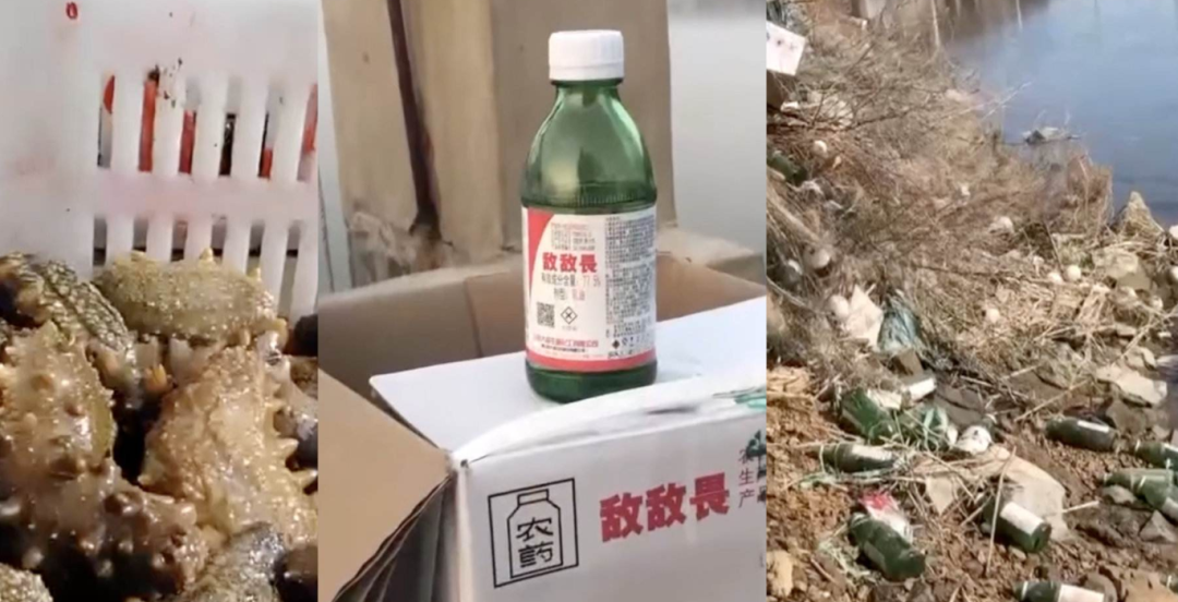 “敌敌畏海参”到底是真相还是误会？— 我们内心深处的过度焦虑和食物恐惧是如何形成的？