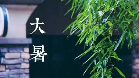 大暑三养：养身、养心、养生！