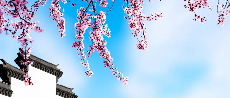 庄子：熬不下去时，就读这5句话！