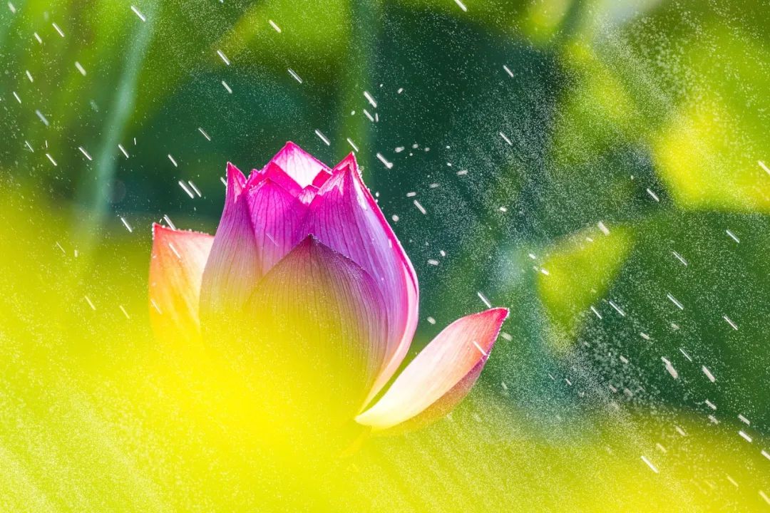 中年以后，“三观”比五官更重要！