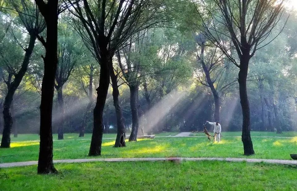 专家提醒：摧毁你健康的，是人人信以为真的这十大好习惯！
