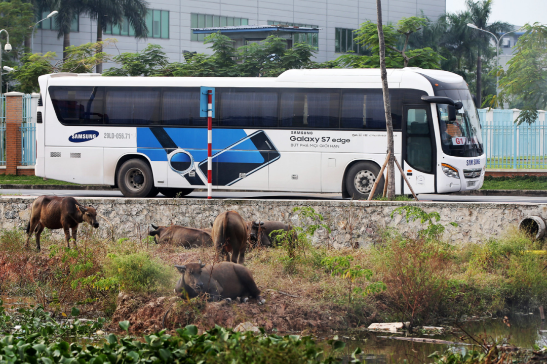 越南到底行不行！