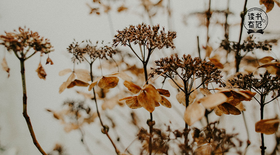 吃饭七分饱，待人七分好！