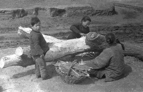 真实的民国到底是个啥样子？