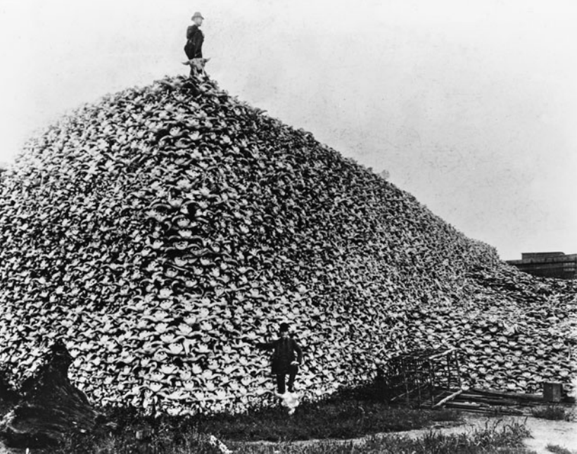 美国：用骸骨和头盖皮堆砌而成的人权“灯塔”？