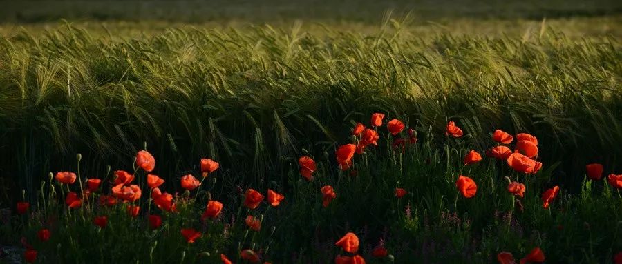 人寿过73、闯84坎的秘密，太涨知识了！