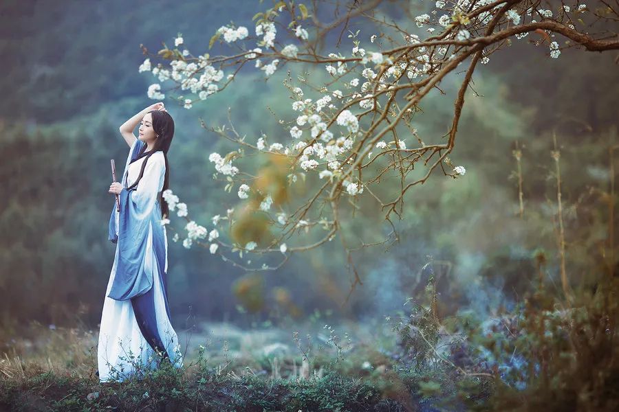 人生的最高境界：半（深度好文）