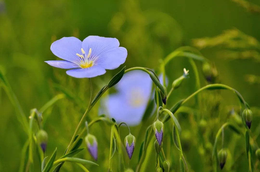 八月再见，九月你好！