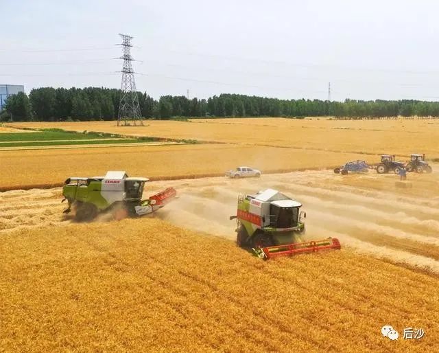 用粮食做武器，美国曾经这样胁迫德国！