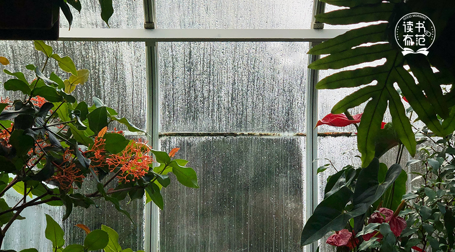 太过善良，是一场灾难！